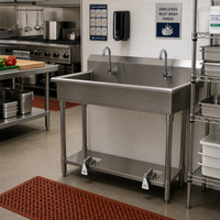 Advance Tabco FS-FM-48FV 2-Station Freestanding Stainless Steel Multi-Wash Hand Sink with Toe-Push Valves and Gooseneck Spouts, 48 Inch Wide