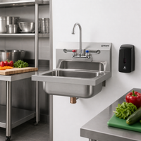 Mixrite SH17 Wall-Mount 17-Inch 304 Stainless Steel Hand Sink with Gooseneck Faucet