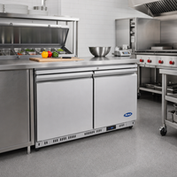 Atosa 2-Section Undercounter Reach-In Freezer, 36-3/8 Inch Wide, 8.6 Cu. Ft., Solid Doors, Rear-Mounted Self-Contained Refrigeration