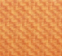 Cambro 1015302 Camtray® Trays & Accessories Case of 24