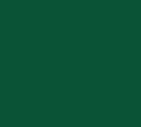 Cambro Camtray Rectangular Fiberglass Fast Food & Cafeteria Tray, 8 x 9-7/8 Inch, Sherwood Green