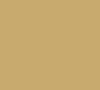 Cambro Camtray Rectangular Fast Food & Cafeteria Tray, 8 x 9-7/8 Inch, Fiberglass, Earthen Gold
