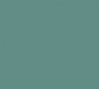 Cambro Rectangular Fiberglass Display Market Pan, Green, 8-7/16 x 30 x 2 Inches