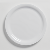 Jane 10-Inch Round Narrow Rim Break-Resistant White Melamine Plate