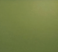 Cambro Camtray Rectangular High-Impact Fiberglass Cafeteria Tray, 15 x 20-1/4 In., Olive Green