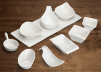 Ardesia Mescalore Bright White Porcelain Free-Form Long Plate, Large, 10-3/8 x 4 in.