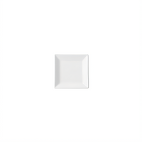 Winco RPS-3 Royalsquare Standard Plates Case of 6