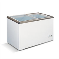 Omcan USA 11.0 Cu. Ft. Commercial Ice Cream Freezer with 2 Sliding Glass Doors and Lock