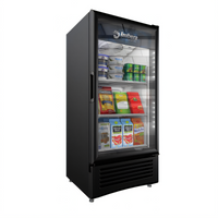 Omcan Elite Series 8.9 Cu. Ft. One-Section Reach-In Glass Door Refrigerated Display Merchandiser