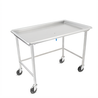 John Boos 48-7/8-Inch x 30-3/8-Inch Stainless Steel Dishroom Sorting Table with Raised Edge and Locking Casters