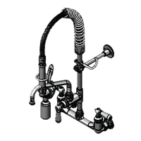EasyInstall Mini Wall-Mount Pre-Rinse Faucet with 8