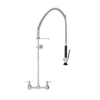 Fisher Stainless Steel Spring-Style Pre-Rinse Unit with 8-Inch Backsplash Control Valve, 21-Inch Riser, and 36-Inch Hose