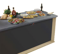 Hatco Glo-Ray Simulated Stone Built-In Rectangular Heated Shelf, 37-5/8 x 19-5/8 x 2-1/4 Inch, 120V
