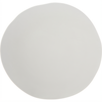 Ridge 11-Inch Free Form Rimless Melamine Plate