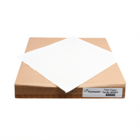 Frymaster Filter Magic Fryer Filter Envelopes, 17-1/2 x 19-1/4 Inches, Box of 100