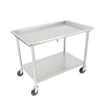John Boos 60-7/8 Inch x 30-3/8 Inch Stainless Steel Sorting Table with 2-1/4 Inch Raised Edge, Undershelf, and Locking Casters