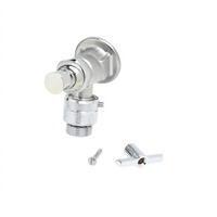 T&S Brass B-0736 Sill Faucet with Vacuum Breaker, Loose Key Handle, Bronze Body, Rough Chrome Finish