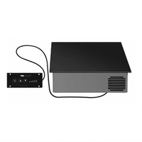 Hatco Palletti Drop-In Countertop Induction Buffet Warmer, Single Burner, 13 x 13 Inches, Black Glass-Ceramic Top