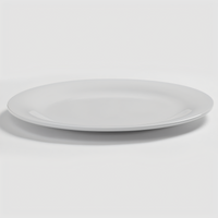Jane 10-Inch Round Wide Rim White Melamine Plate
