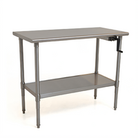 Eagle AdjusTable ADA/Ergonomic Height Adjustable Stainless Steel Work Table with 4-Inch Backsplash, 60 x 24 Inches