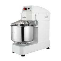 Eurodib 40 Qt 1-Speed Spiral Dough Mixer with Timer, 220V, Fixed Bowl