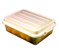 Traex Color-Mate 20 x 15 x 5 Inch Perforated Clear Plastic Drain Box