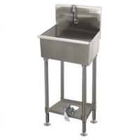 Single-Station Floor-Mounted Multiwash Hand Sink with Toe-Push Valve and Gooseneck Spout