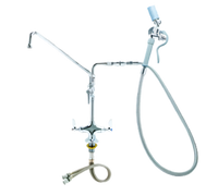 Vulcan Double Pantry Deck-Mount Pre-Rinse Faucet with 16-Inch Add-On Faucet and Washdown Hose