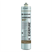 Everpure EV961250 Everpure Water Filter Cartridges