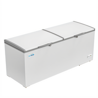 KoolMore 77-Inch 24 Cu. Ft. Commercial Chest Freezer with Dual Solid Locking Lids