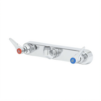 T&S Brass 8-Inch Center Wall-Mount Workboard Faucet, Less Nozzle