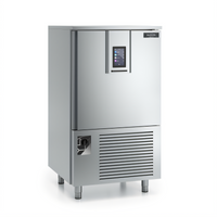 Gemm® BCB Single-Section Reach-In Blast Chiller, Self-Contained, 10-Tray Capacity, 208-230V