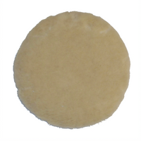 Bissell Big Green Commercial 437.054BG Floor Buffer Pads & Brushes