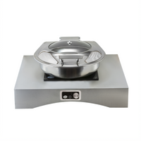 Countertop Single Induction Chafer Station with Drop-In Electric Cooktop, 25 x 22 x 5 Inches, Random Swirl Finish