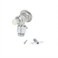 T&S Brass Sill Faucet with Vacuum Breaker, Loose Key Handle, and 3/4-Inch Female Inlet