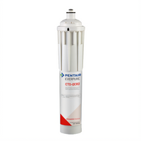 Everpure CTO-QCR2 QT Replacement Water Filter Cartridge