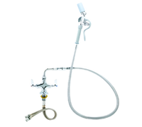 Vulcan Double Pantry Deck-Mount Faucet with Washdown Hose, Backflow Preventer and Wall Hook