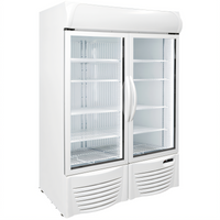Excellence Commercial Products GDF-43 Glass Door Merchandisers