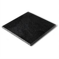 Lainox Oracle High-Speed Oven Stone Plate