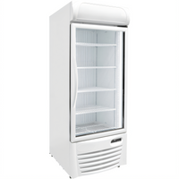 Excellence Commercial Products GDF-22 Glass Door Merchandisers