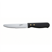 Winco Jumbo Steak Knife with 5-Inch Stainless Steel Blade and Plastic Handle