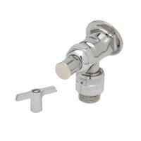 T&S Brass Wall-Mount Single-Temperature Sill Faucet with Vacuum Breaker, Loose Key Stop, and Polished Chrome Finish