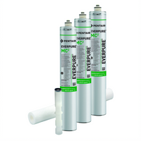 Everpure EV997042 Everpure Water Filters Case of 3