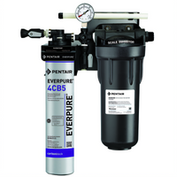 Everpure KleenSteam CT Steam Water Treatment System, 6,000 Gallons, 1.67 GPM