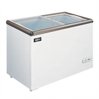 Omcan 29-Inch Ice Cream Reach-In Freezer with Flat Glass Top, Sliding Doors, 5.3 Cu. Ft.