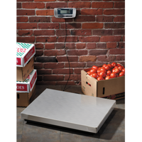 Edlund ERS-300 Digital Receiving Scale, 300 lb / 150 kg, Stainless Steel Platform