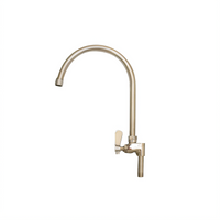 BK Resources Evolution Series 8-1/2-Inch Stainless Steel Gooseneck Add-On Faucet Spout