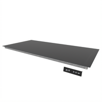 Vollrath Flush Mount Drop-In Heated Shelf, 38
