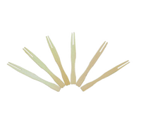 Town Equipment 51612 Cocktail & Party Picks