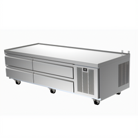 Delfield F2975CP Low Profile Undercounter & Worktop Refrigeration